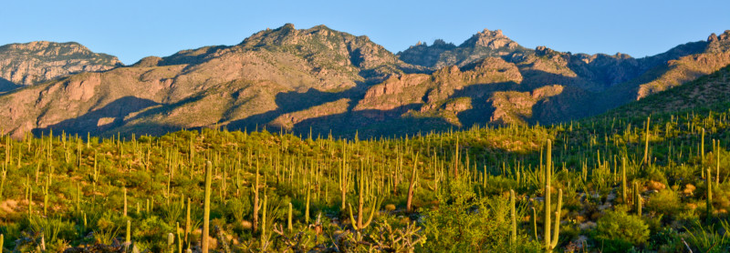 visit tucson visitor center